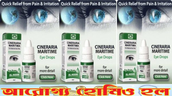 সিনেরারিয়া মারিটিমা