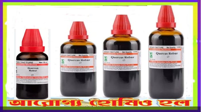 কোয়েরকাস রোবার হোমিওপ্যাথি মাদার টিংচার