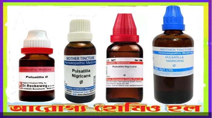 পালসেটিলা নিগ্রিকানস Q হোমিওপ্যাথি মাদার টিংচার
