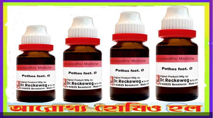 পোথোস ফোটিডাস হোমিওপ্যাথি মাদার টিংচার