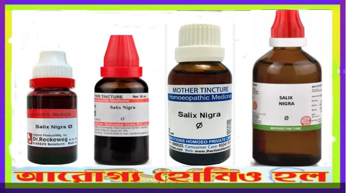 স্যালিক্স নিগ্রা হোমিওপ্যাথি মাদার টিংচার