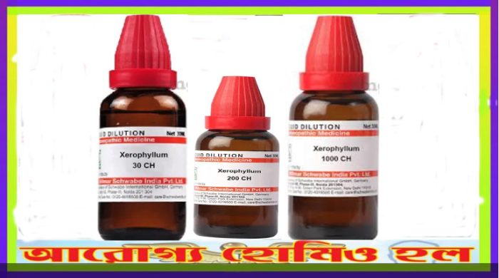 Xerophyllum homeopathic ডাইলেশন ৬, ৩০, ২০০,