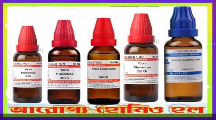 ইউক্কা ফিলামেন্টোসী ৬, ৩০, ২০০, ১এম